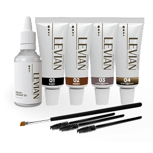 Набор краски Levian №1, (4 краски, оксид, щёточки, кисть), 1 шт.