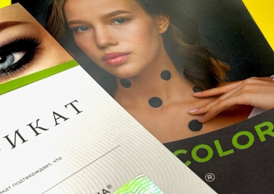 КУРС УСПЕШНЫЙ ТРЕНЕР ОТ BROWXENNA, программа курса